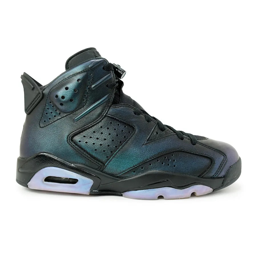 AIR JORDAN 6 RETRO ALL STAR "CHAMELEON"