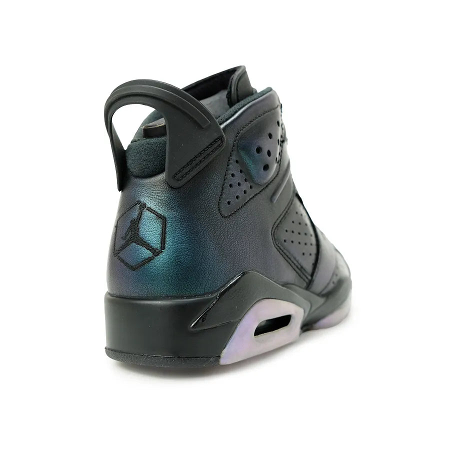AIR JORDAN 6 RETRO ALL STAR "CHAMELEON"