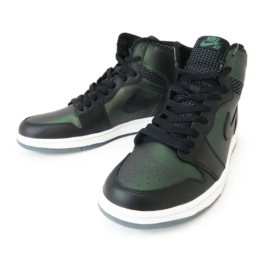 AIR JORDAN 1 SB "CRAIG STECYK"