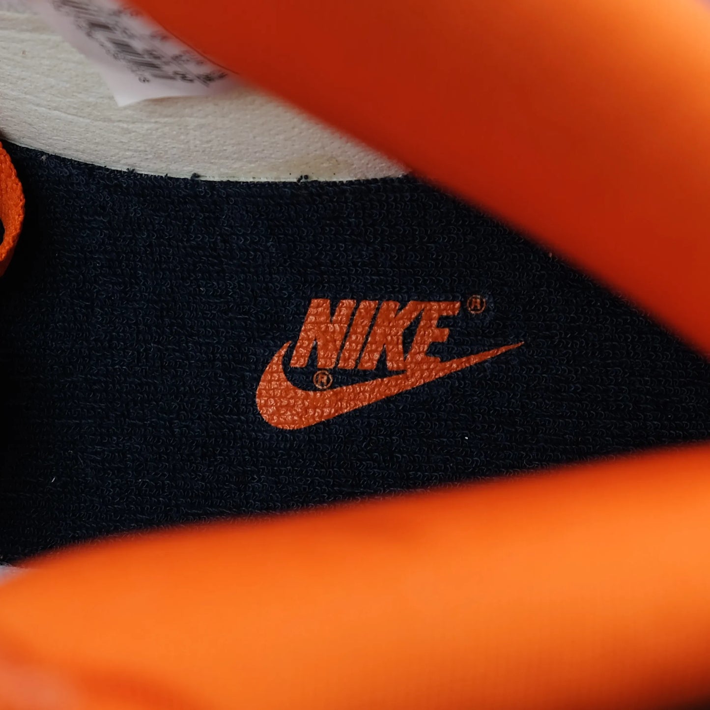 DUNK HI LE COLLEGE ORANGE