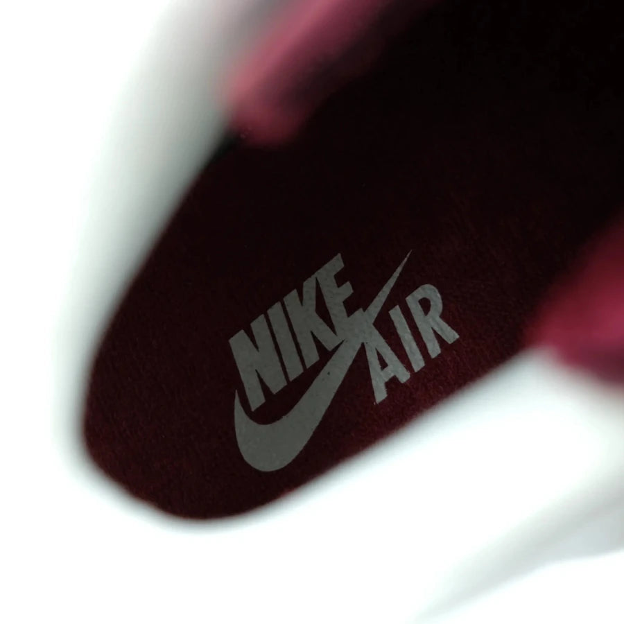 AIR JORDAN 6 RETRO "MAROON" 2015 (20241029004)