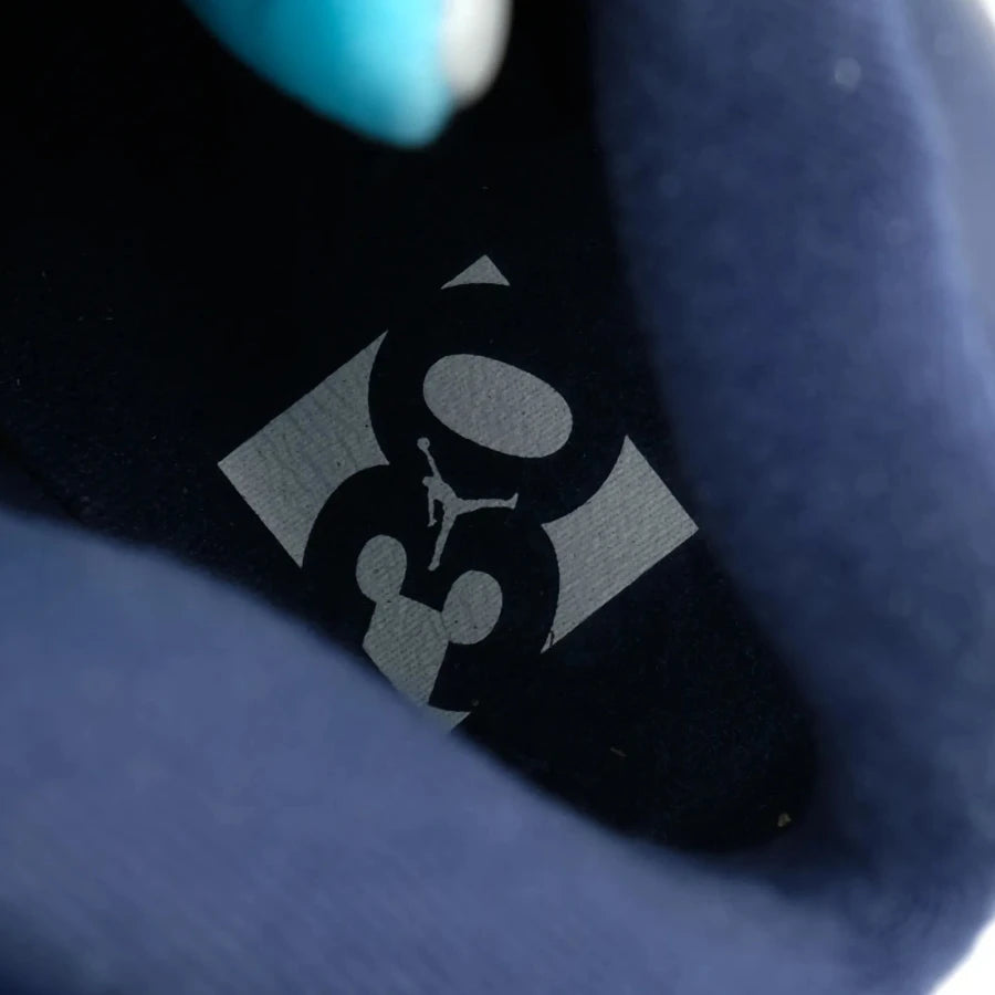 AIR JORDAN 5 RETRO "PRE-GRAPE" (20241204005)