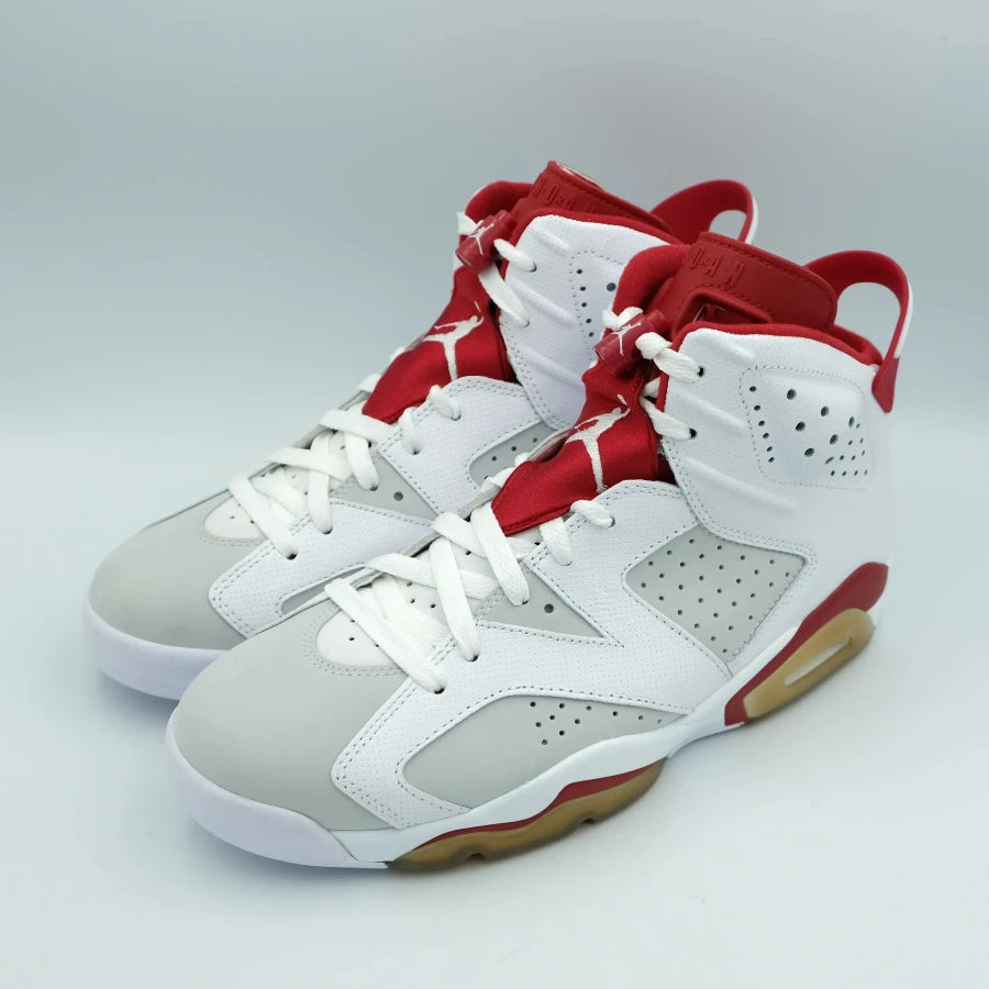 AIR JORDAN 6 RETRO "ALTERNATE" (20241213001)