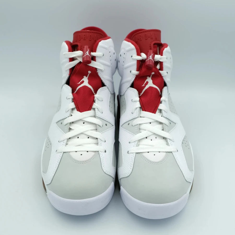 AIR JORDAN 6 RETRO "ALTERNATE" (20241213001)