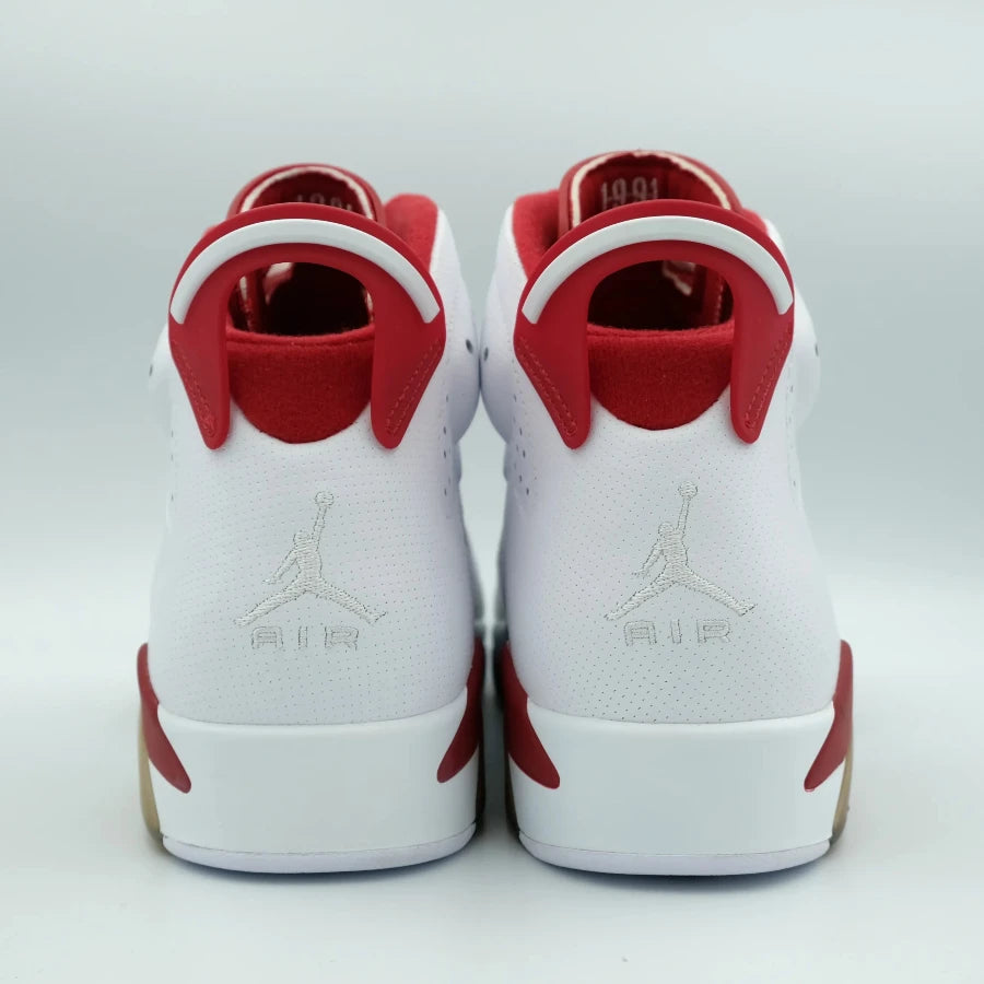 AIR JORDAN 6 RETRO "ALTERNATE" (20241213001)
