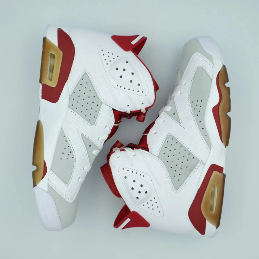 AIR JORDAN 6 RETRO "ALTERNATE" (20241213001)