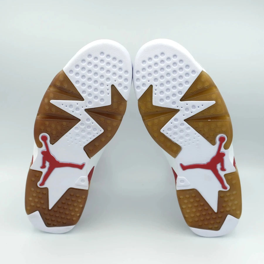 AIR JORDAN 6 RETRO "ALTERNATE" (20241213001)