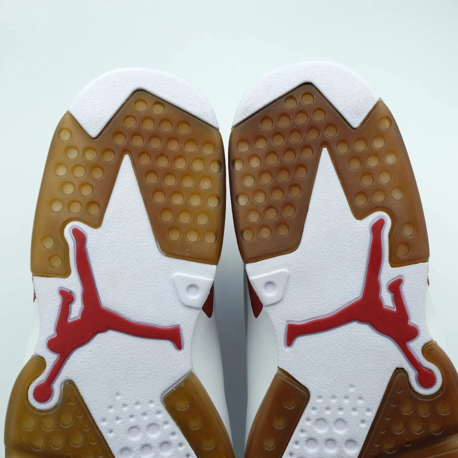 AIR JORDAN 6 RETRO "ALTERNATE" (20241213001)