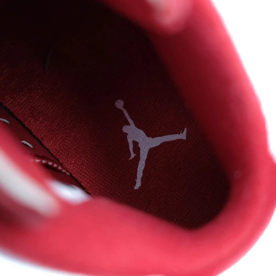AIR JORDAN 6 RETRO "ALTERNATE" (20241213001)