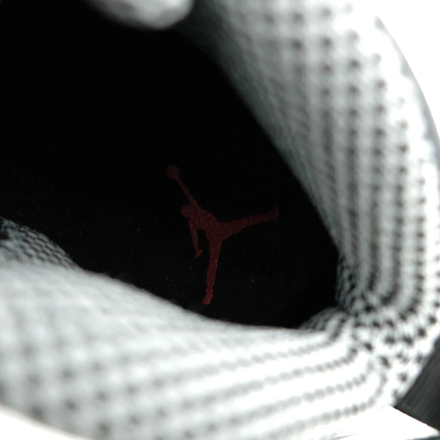 AIR JORDAN 10 RETRO "STEEL" 2013 (20241216004)