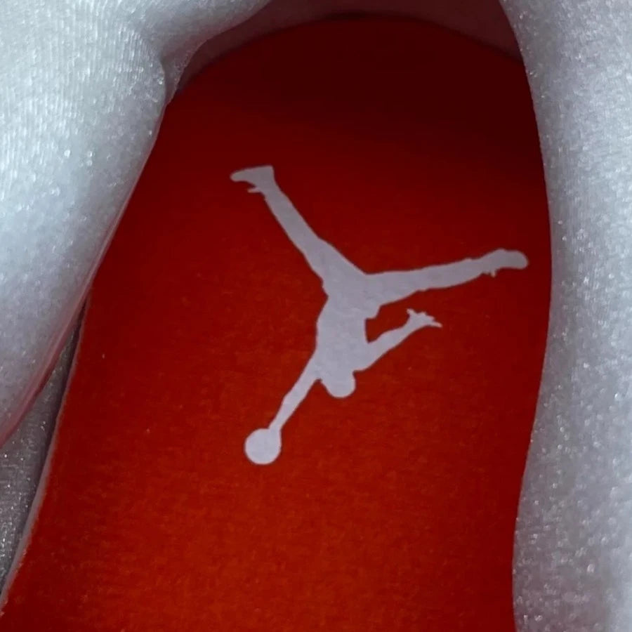 AIR JORDAN 4 RETRO "ORANGE METALLIC" (20240603001)