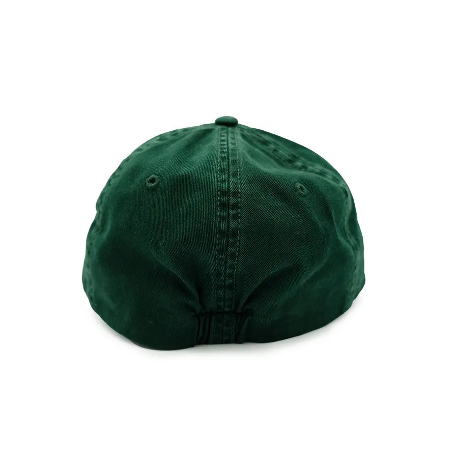 POLO RALPH LAUREN LONG BILL TWILL HAT P WING
