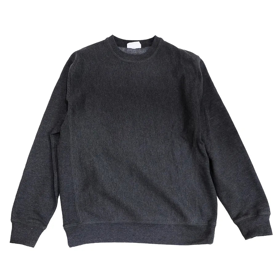 TEAM LICHEN CREWNECK SWEATERSHIRT