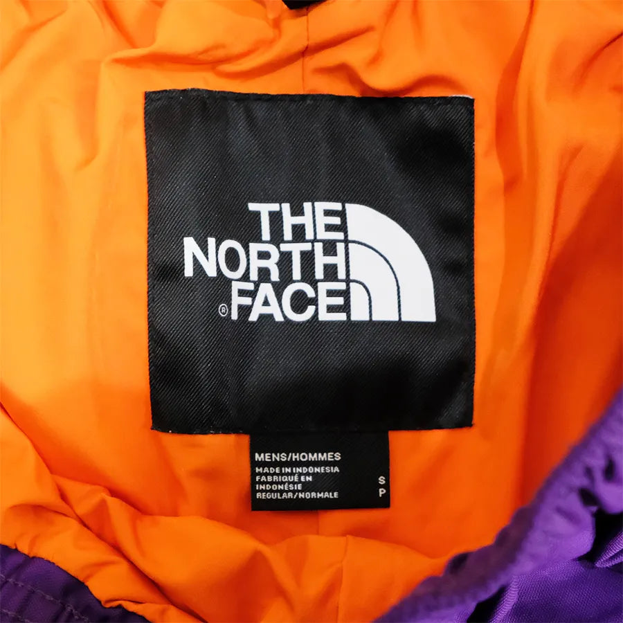 THE NORTH FACE TRANS ANTARCTICA STRAIGHT NYLON PANTS PURPLE S