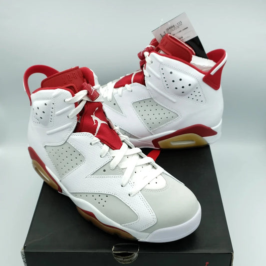 AIR JORDAN 6 RETRO "ALTERNATE" (20241213001)