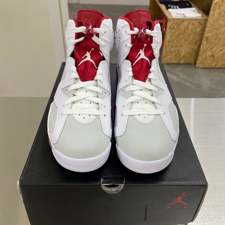 AIR-JORDAN-6-RETRO-ALTERNATE-003