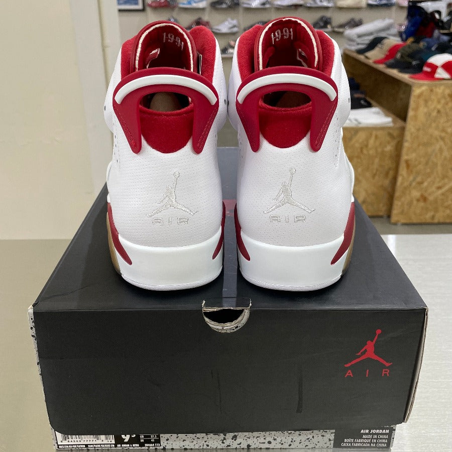 AIR-JORDAN-6-RETRO-ALTERNATE-005